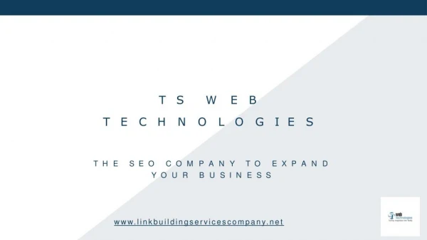 Contact TS Web Technologies- The SEO Company to Expand Your Business