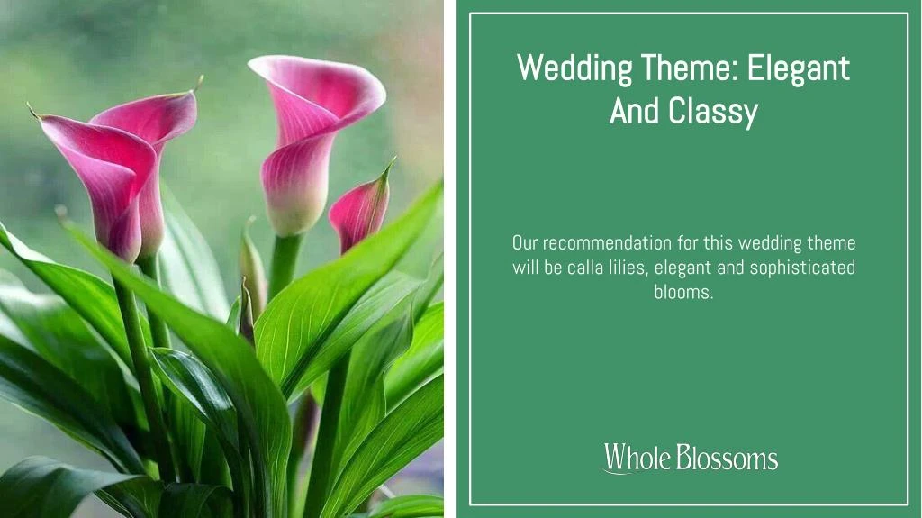 wedding theme elegant and classy