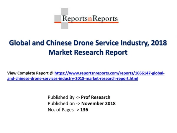 Global Drone Service Industry with a focus on the Chinese Market