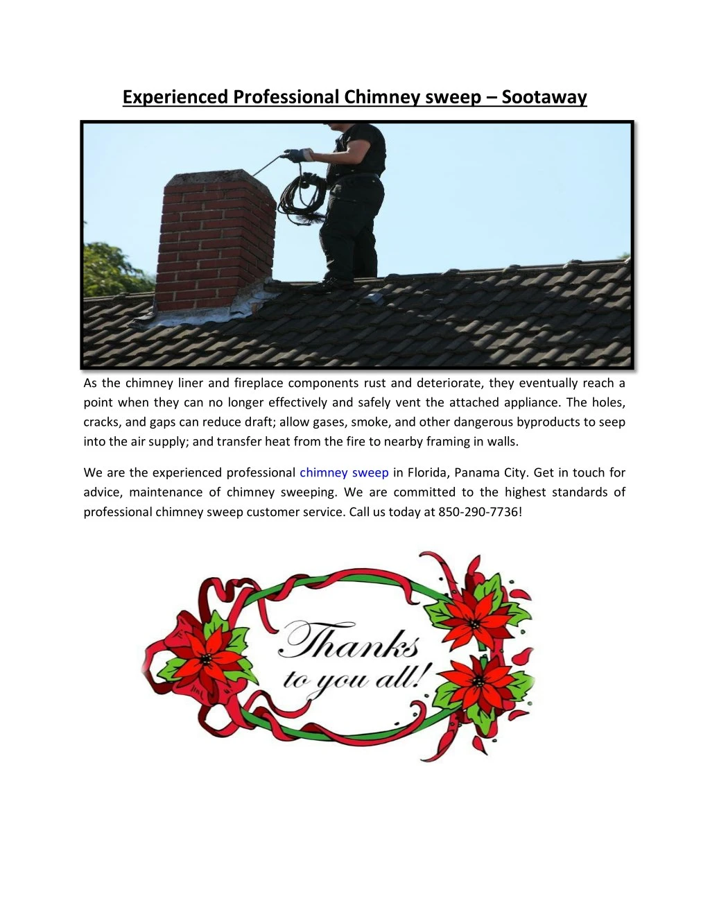 experienced professional chimney sweep sootaway