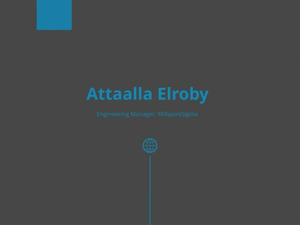 Attaalla Elroby - Master of Science in Electrical Engineering