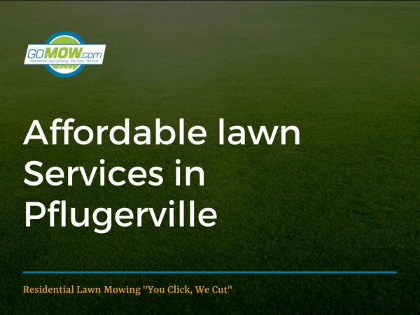 Looking for affordable lawn maintenance in Pflugerville, Texas?