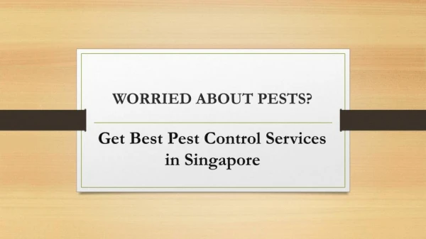 Get Best Pest Control Services in Singapore