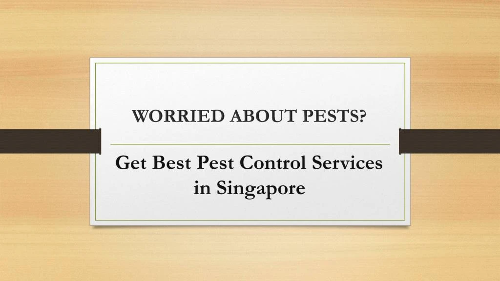 worried about pests get best pest control