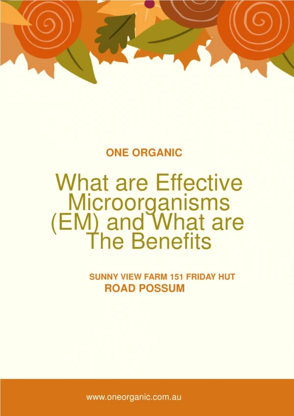 What are Effective Microorganisms (EM) and What are The Benefits