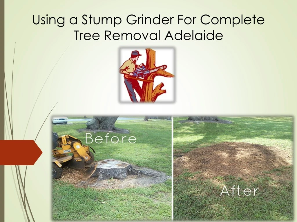 using a stump grinder for complete tree removal
