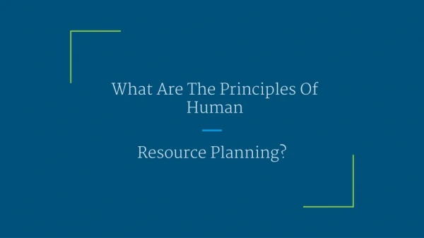What Are The Principles Of Human Resource Planning?