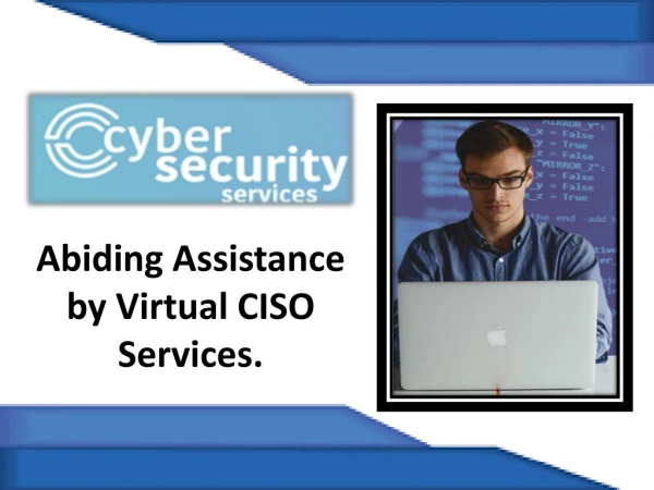 Virtual CISO services : your data security experts