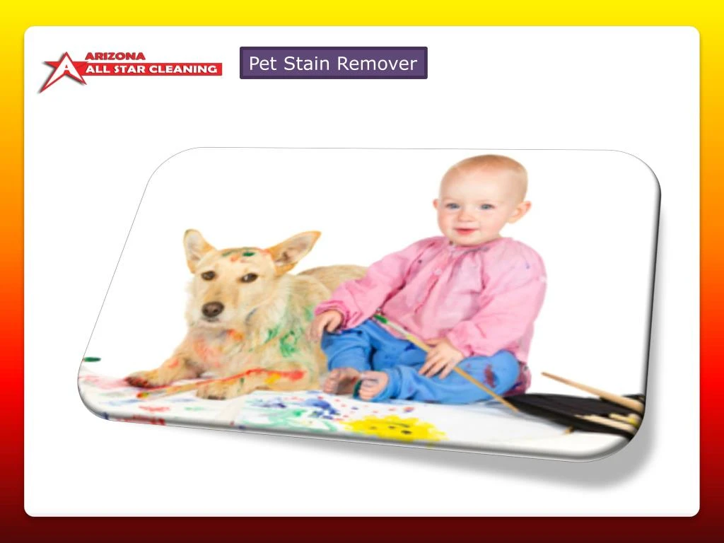 pet stain remover