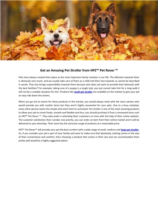 Get an Amazing Pet Stroller from HPZ™ Pet Rover ™