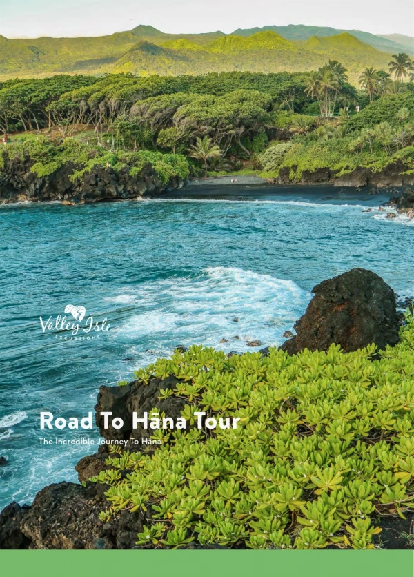 Road to Hana Tour