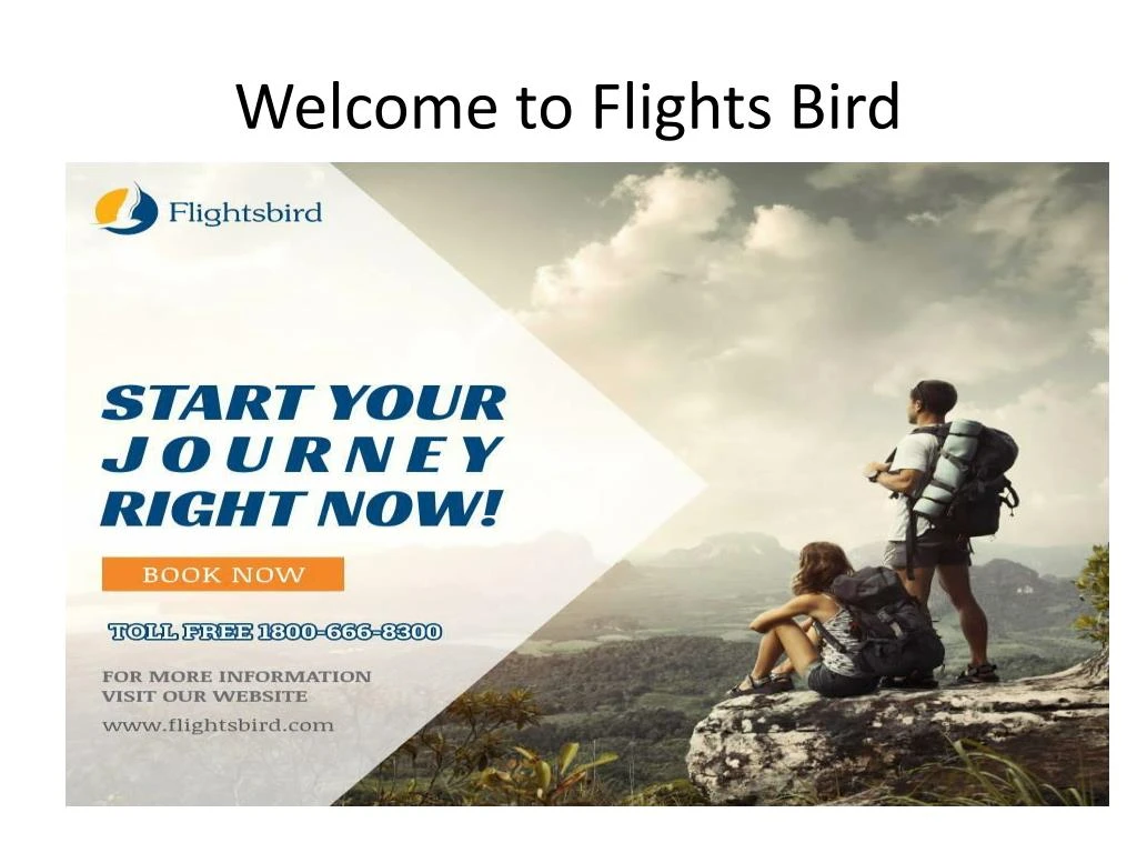 welcome to flights bird