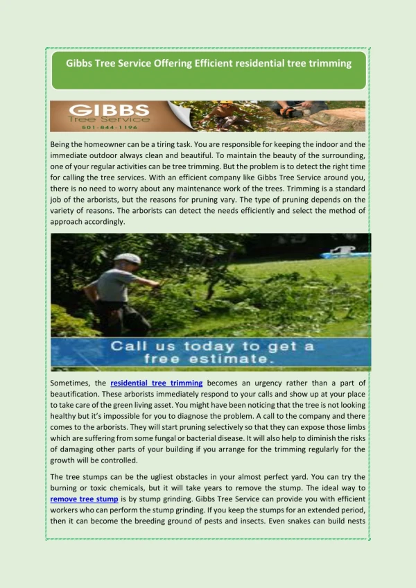 Gibbs Tree Service Offering Efficient residential tree trimming