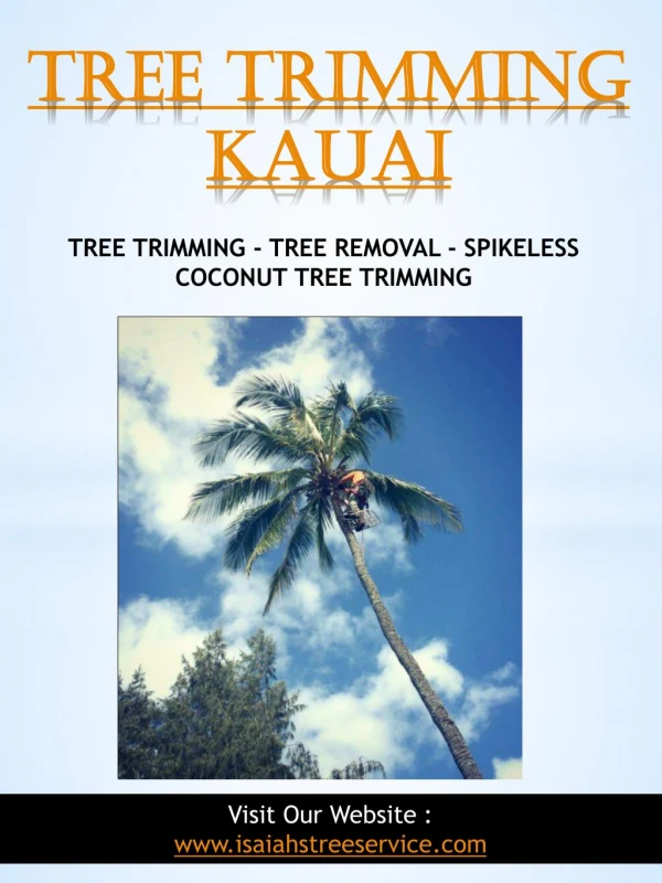 Tree trimming kauai