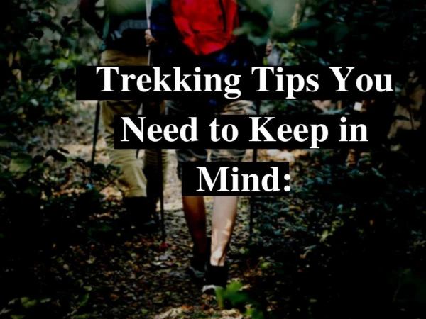 Trekking Tips You Need to Keep in Mind by Frank Dilullo