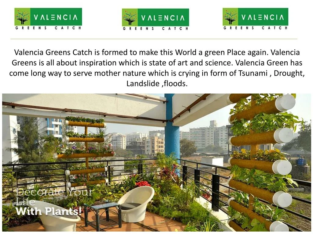 valencia greens catch is formed to make this