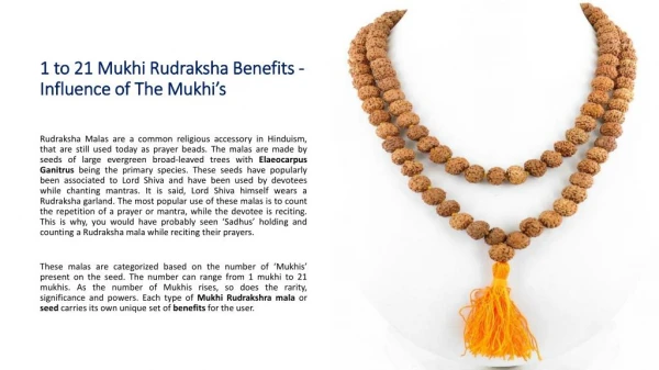 1 to 21 Mukhi Rudraksha Benefits - Influence of The Mukhis