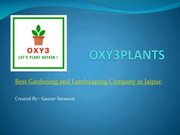 Buy OXY 3 Indoor Plants Online in Jaipur