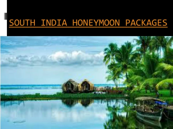 South India Honeymoon tours