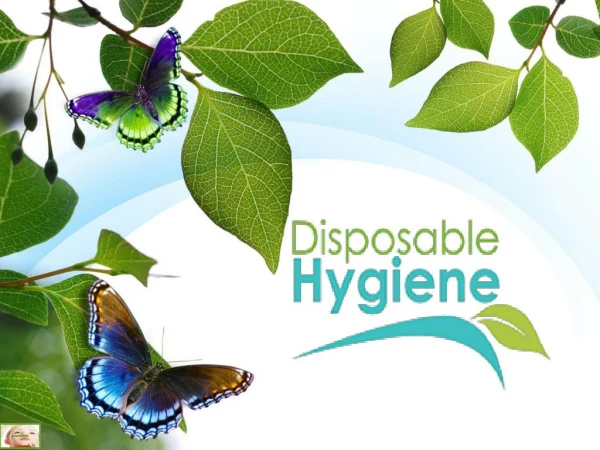 Disposable Hygiene –The Best Wet Wipes Manufacturer in Clifton, USA