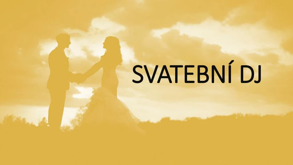 svatebn dj