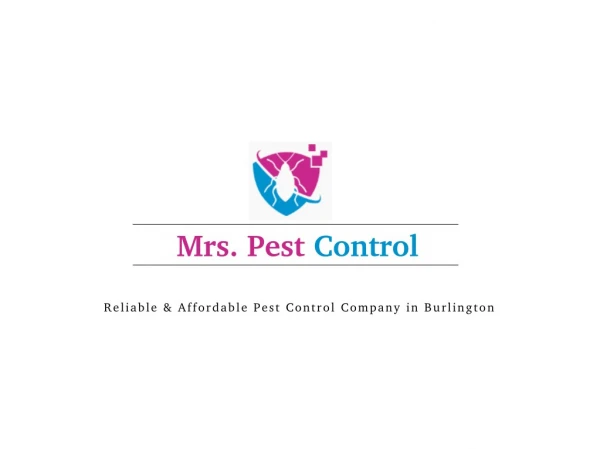 Affordable Pest Control Company in Burlington