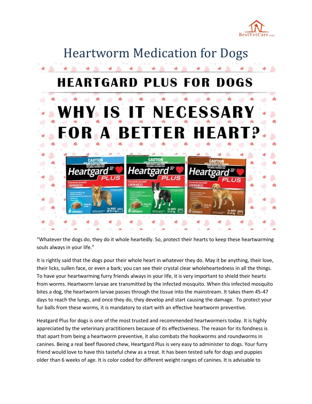 heartworm medication for dogs