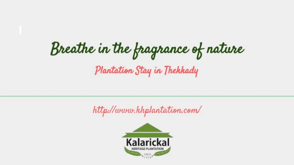 Plantation Stay In Thekkady