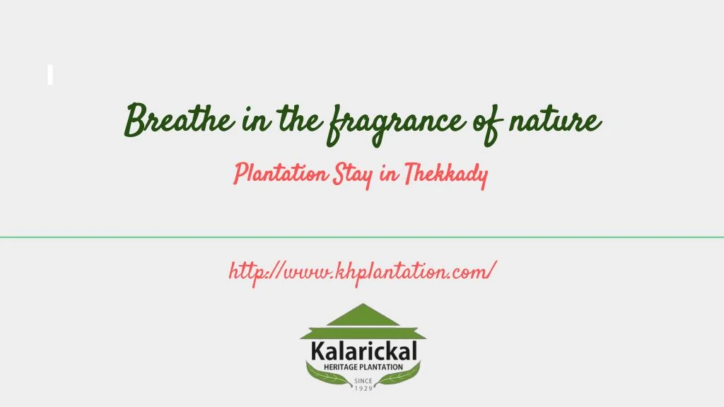 breathe in the fragrance of nature plantation stay in thekkady