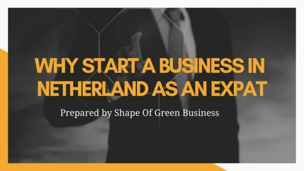 Why Start A Business In Netherland As An Expat