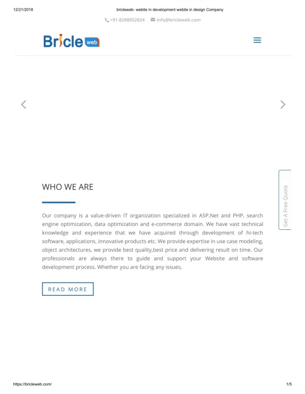 bricleweb web design and development company