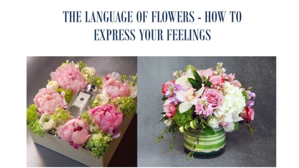 THE LANGUAGE OF FLOWERS - HOW TO EXPRESS YOUR FEELINGS