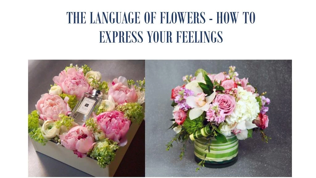 the language of flowers how to express your feelings