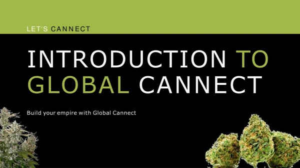 Cannabis Business Services | Cannabis Consulting | Global Cannect