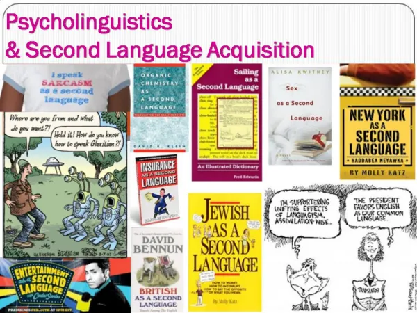 Psycholinguistics Second Language Acquisition