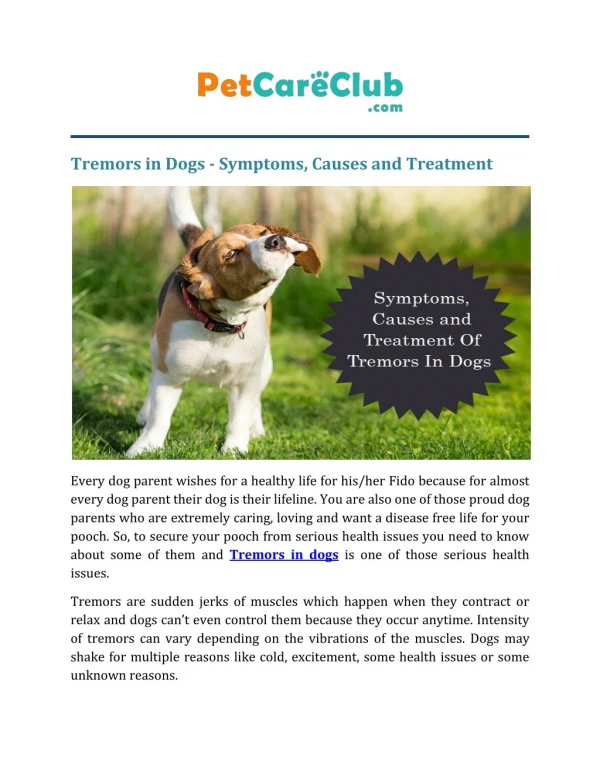 Tremors In Dogs - Symptoms, Causes and Treatment
