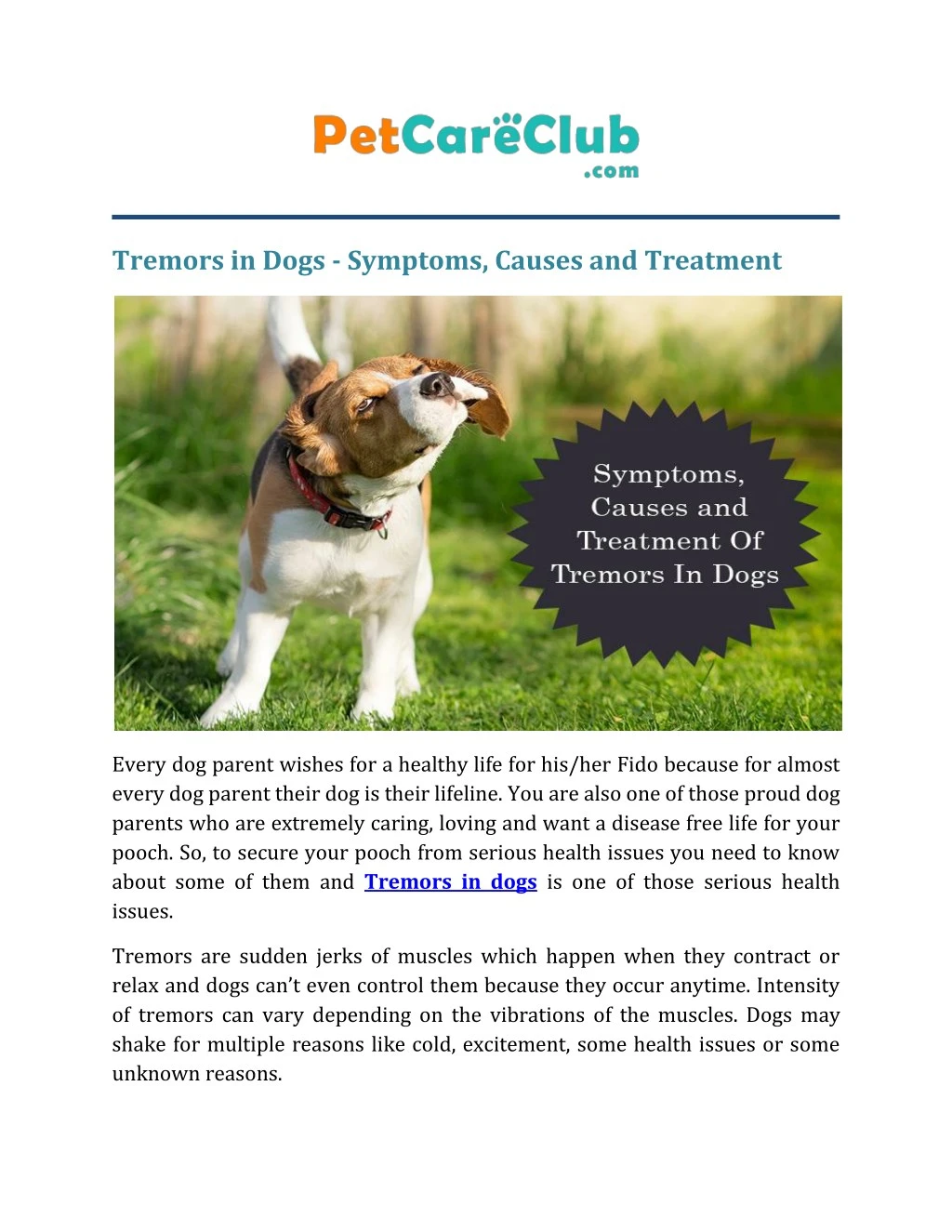 tremors in dogs symptoms causes and treatment