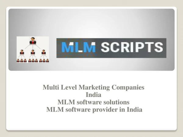 MLM software solutions - MLM software provider in India