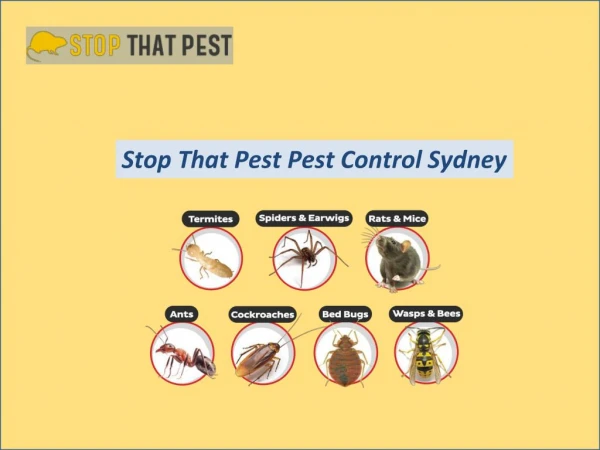 Stop That Pest Control Sydney