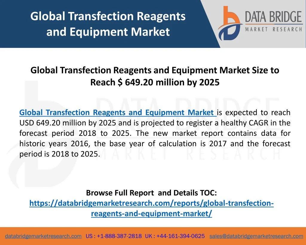 global transfection reagents and equipment market