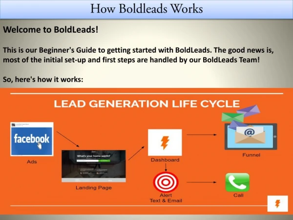 How Boldleads Works