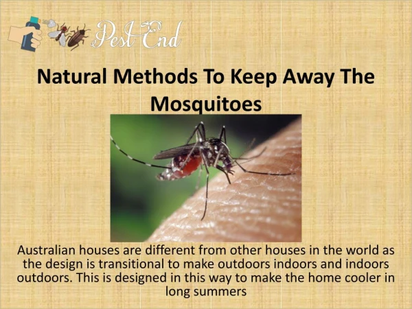 Natural Methods To Keep Away The Mosquitoes