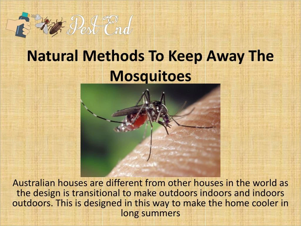 natural methods to keep away the mosquitoes