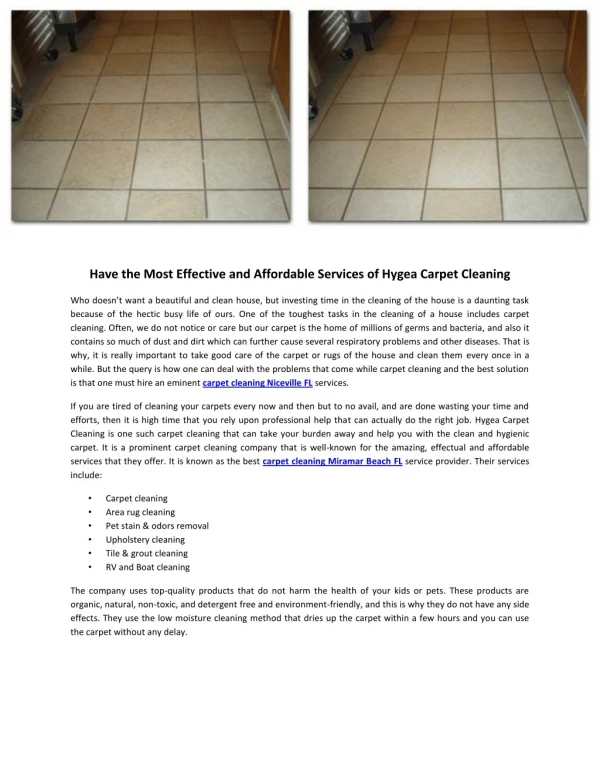 Have the Most Effective and Affordable Services of Hygea Carpet Cleaning
