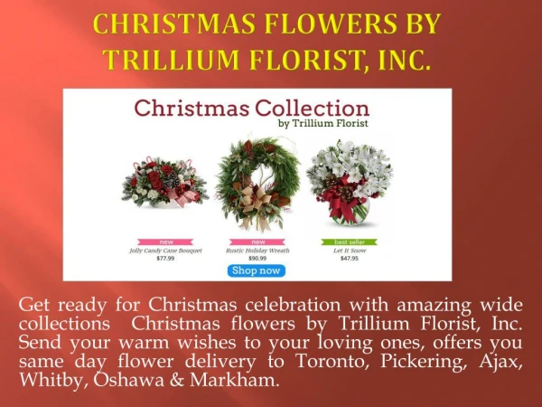 Christmas Flower Collection by Trillium Florist Inc