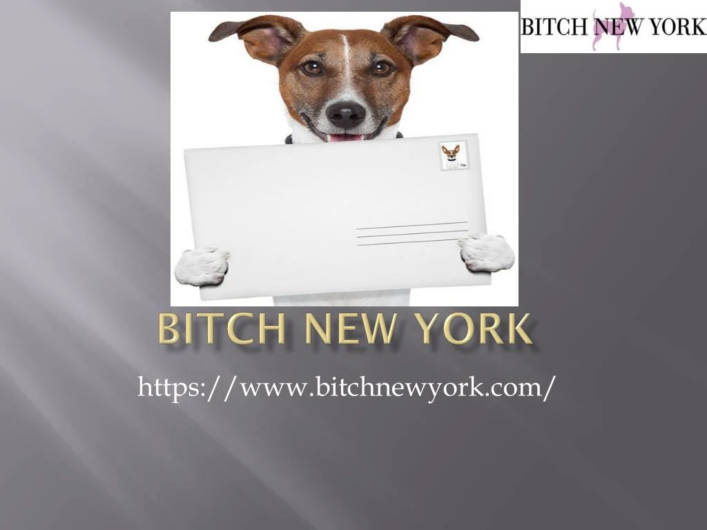 bitch new york