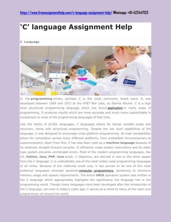 ‘C’ language Assignment Help