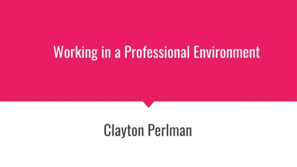 Clayton Perlman: Working in a Professional Environment