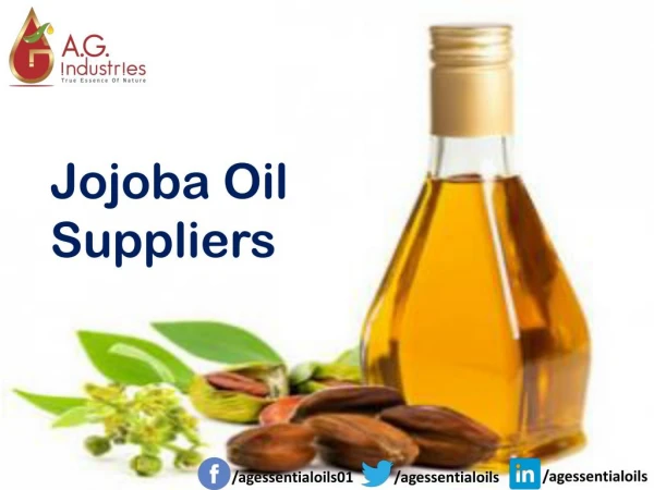 Jojoba Oil Suppliers