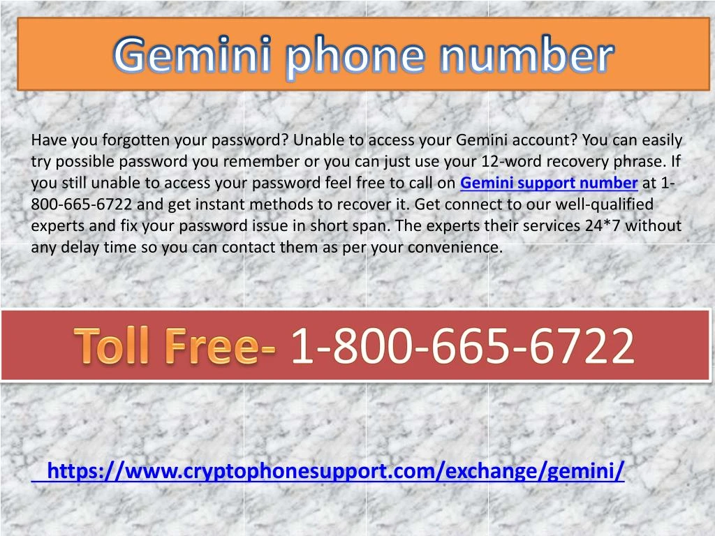 gemini phone number